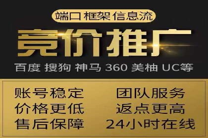 SEO百度推广策略：成功案例解析