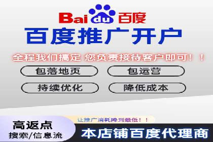 百度竞价与搜索引擎优化（SEO）结合的经典案例
